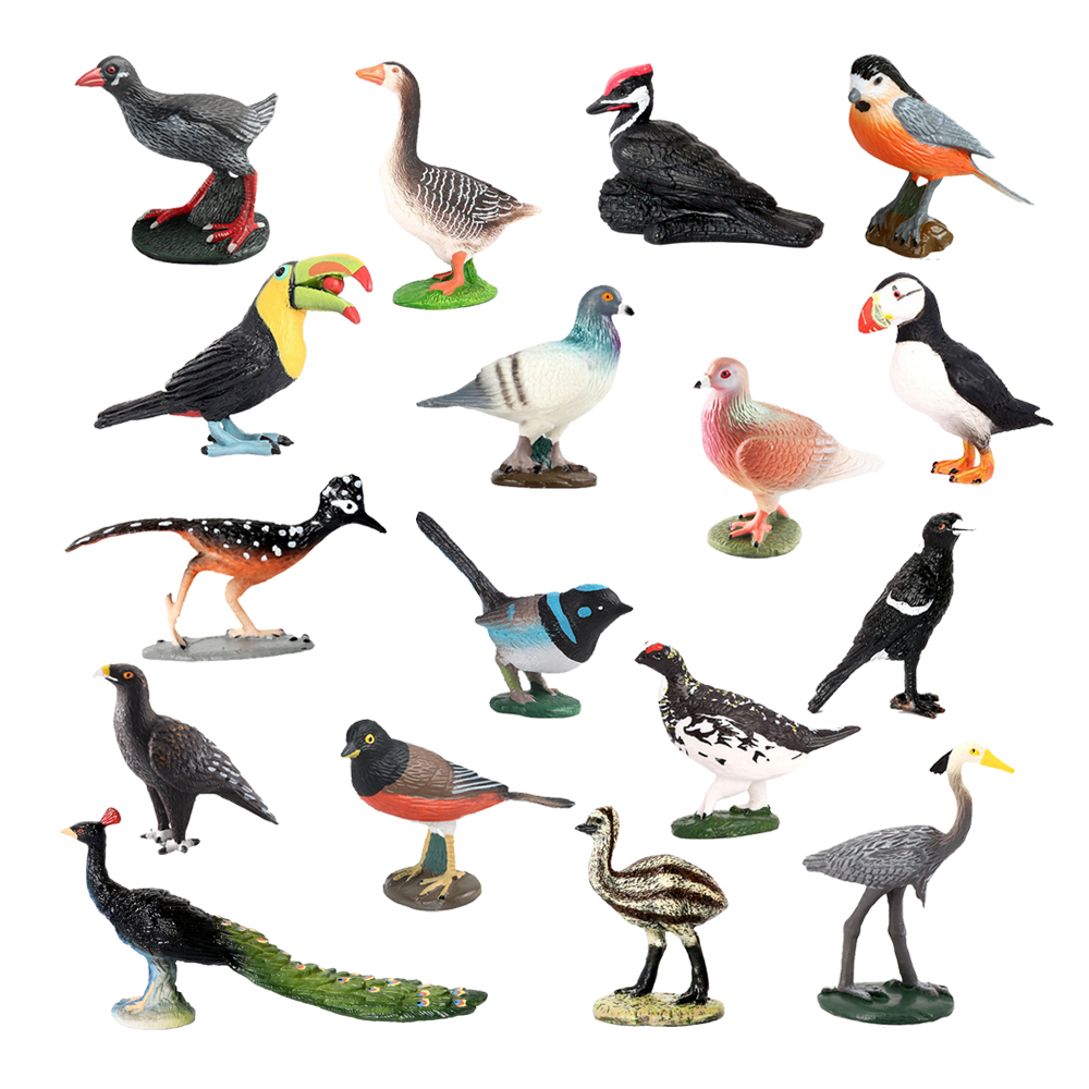 Owl Flamingo Turkey Toucan Sea - Kids Toys Under 1 Year 评论和价格
