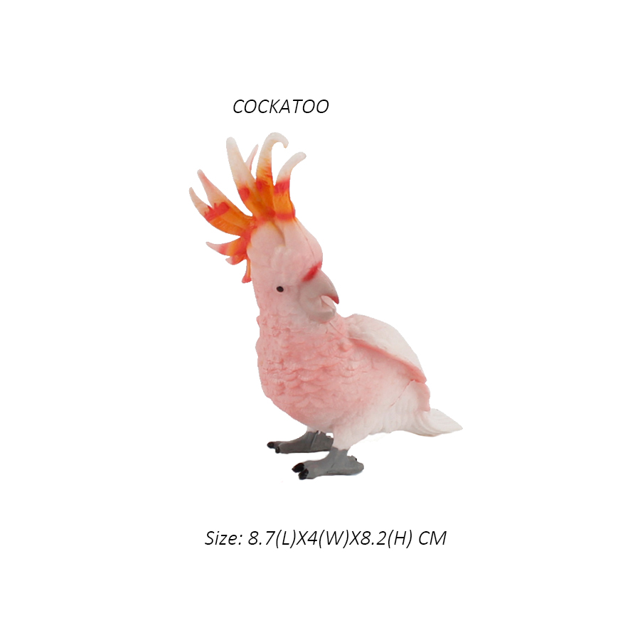 Owl Flamingo Turkey Toucan Sea - Kids Toys Under 1 Year 评论和价格