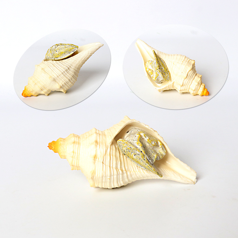 Plastic Prehistoric Sea Creatu - Kids Toys Under 1 Year 评论和价格