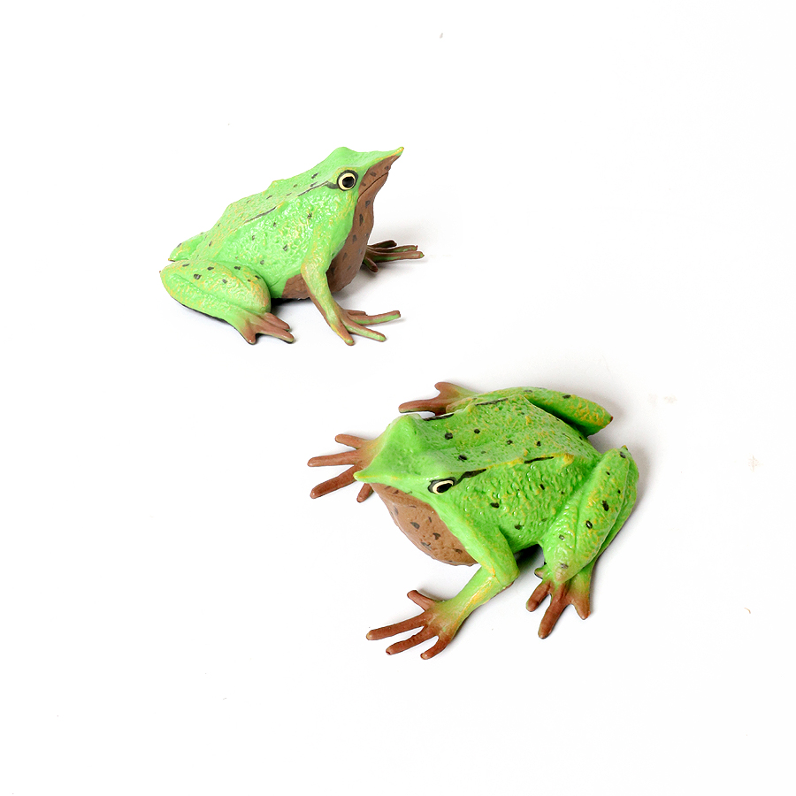 Rainforest Animals Frogs Figur - Kids Toys Under 1 Year 评论和价格