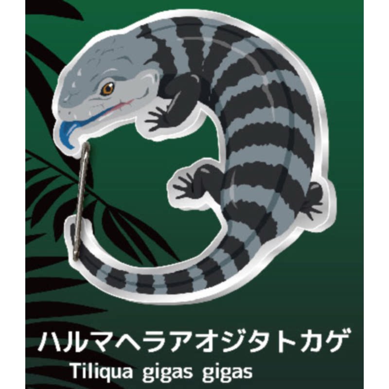 Lizard Gecko Carabiner Capsule - Kids Toys Under 1 Year 评论和价格