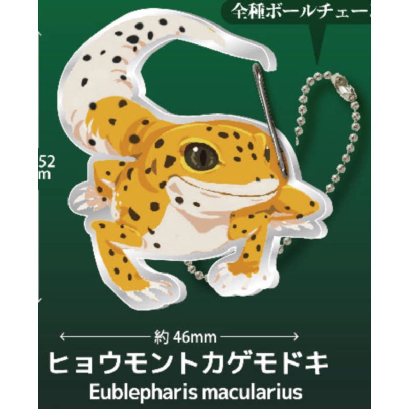 Lizard Gecko Carabiner Capsule - Kids Toys Under 1 Year 评论和价格