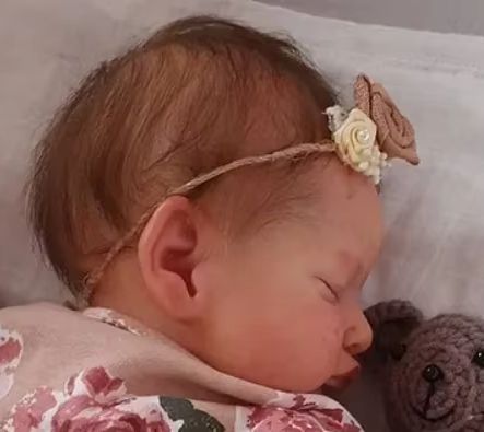 19inch Reborn Bebe  Rosalie Ne - Kids Toys New Born 评论和价格
