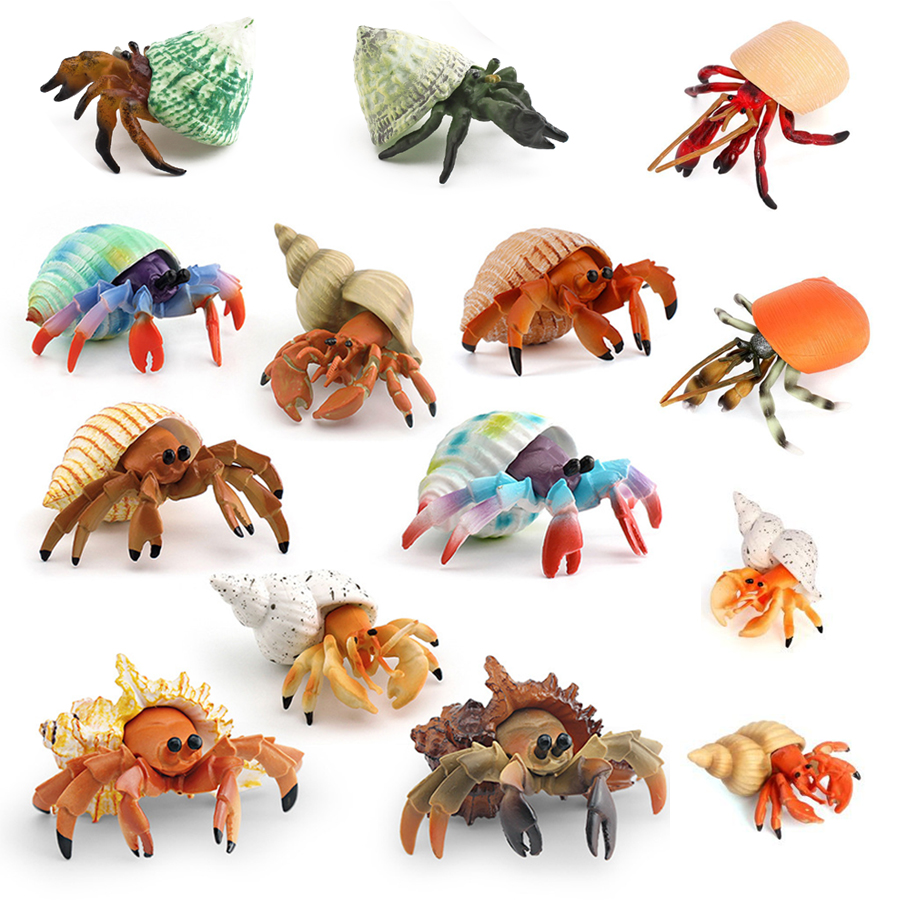 Realistic Hermit Crab Figurine - Kids Toys Under 1 Year 评论和价格