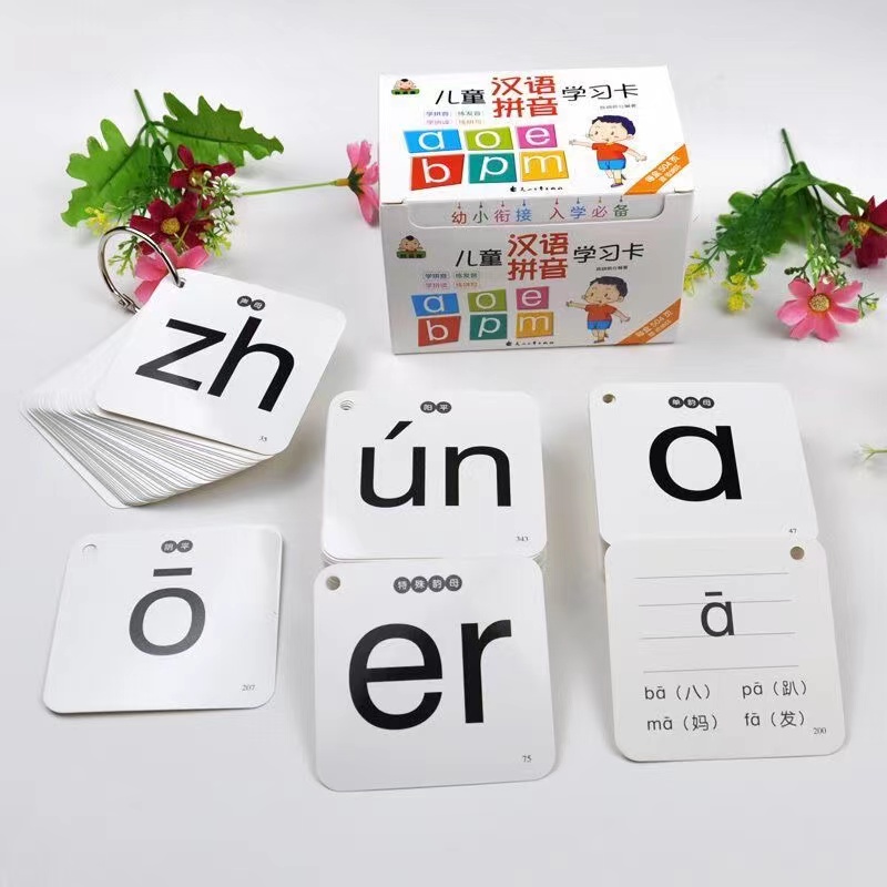 252Pcs/set Learning Chinese Pi - Kids Toys Now 评论和价格