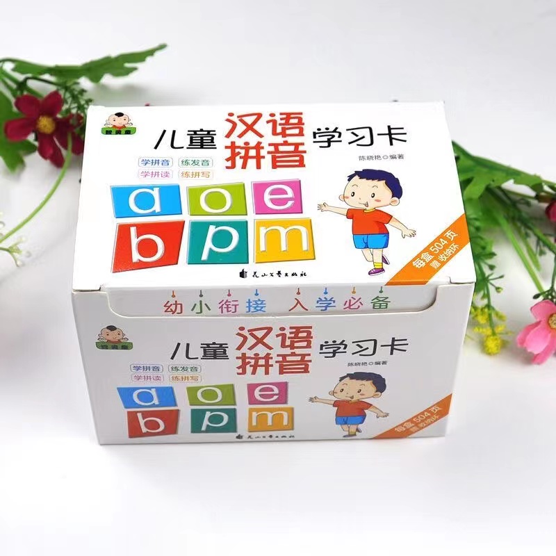 252Pcs/set Learning Chinese Pi - Kids Toys Now 评论和价格