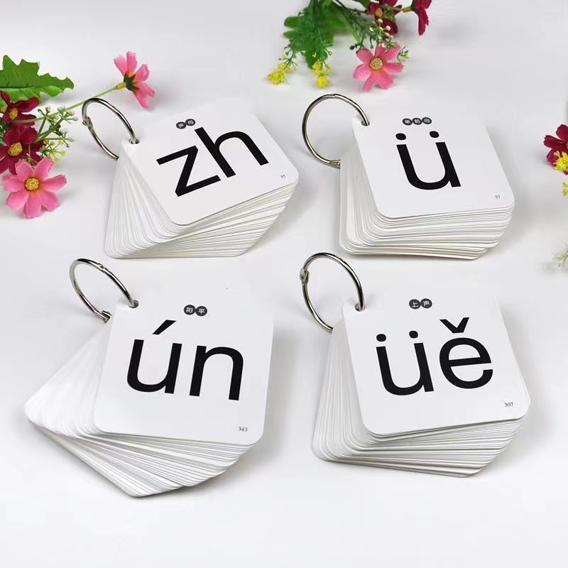 252Pcs/set Learning Chinese Pi - Kids Toys Now 评论和价格