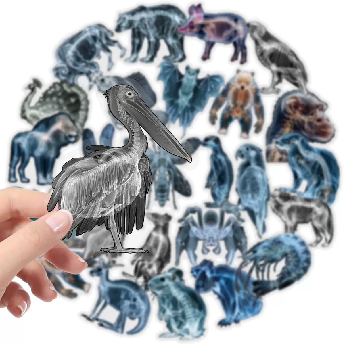10/56pcs Animal Skeleton Stick - Kids Xray Toys 评论和价格