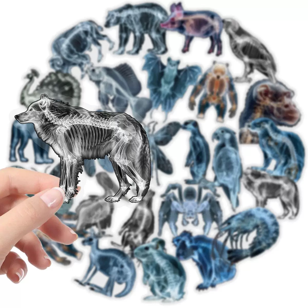 10/56pcs Animal Skeleton Stick - Kids Xray Toys 评论和价格